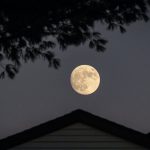 Fenomena Bulan Purnama 2026: Jumlah, Pola, dan Supermoon