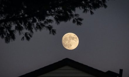 Fenomena Bulan Purnama 2026: Jumlah, Pola, dan Supermoon