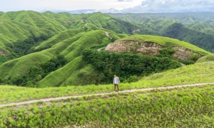 Wisatawan ke Sumba Timur Capai 41 Ribu pada 2025