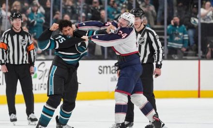 Duel Ryan Reaves dan Mathieu Olivier serta Tradisi The Code NHL