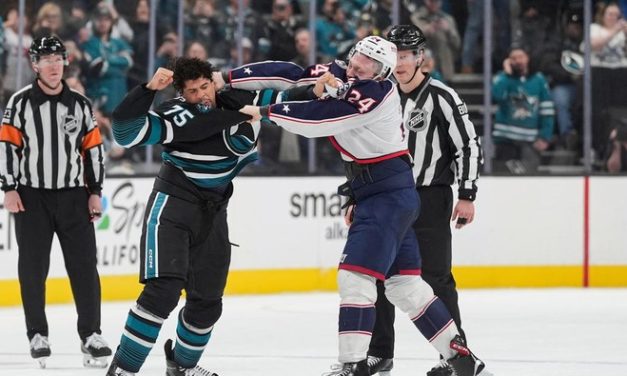 Duel Ryan Reaves dan Mathieu Olivier serta Tradisi The Code NHL