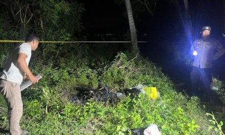 Penemuan Mayat Terbakar di Dusun Batu Leong, Lombok Barat