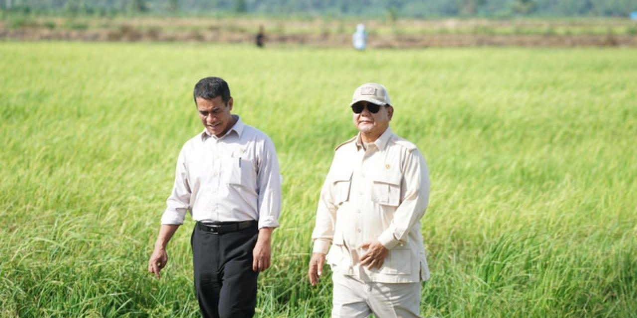 Stok Beras Indonesia Awal 2026 Aman dan Melimpah