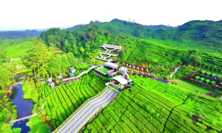 Menikmati Kuliner Ciwidey di Tengah Alam