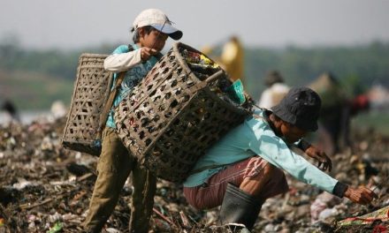 Di Balik Sampah Kota, Ada Perjuangan yang Sunyi