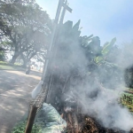 Ancaman PM2,5 Jakarta: Dampak Kesehatan Upaya Pencegahan