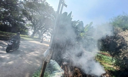 Ancaman PM2,5 Jakarta: Dampak Kesehatan Upaya Pencegahan