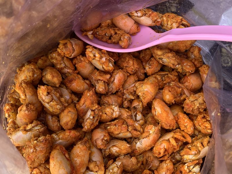 Kuliner Khas Jalur Pansela Jawa: Rekomendasi Makanan Unik