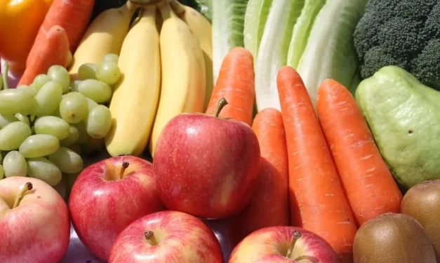 Strategi Konsumsi Serat Mengoptimalkan Pencernaan Metabolisme