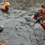 Gubernur DKI Jakarta Tegaskan Ikan Sapu-Sapu Akan Dikubur