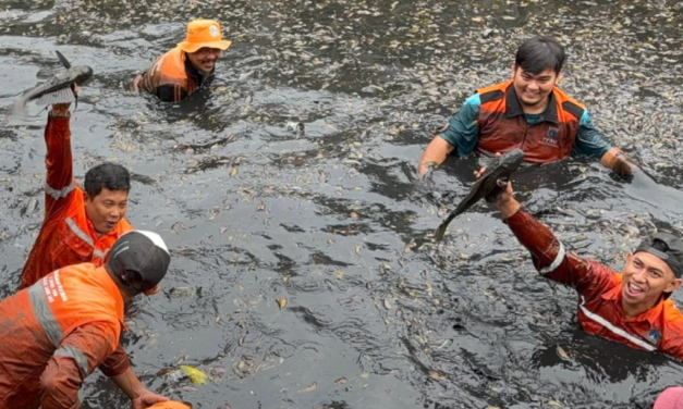 Gubernur DKI Jakarta Tegaskan Ikan Sapu-Sapu Akan Dikubur
