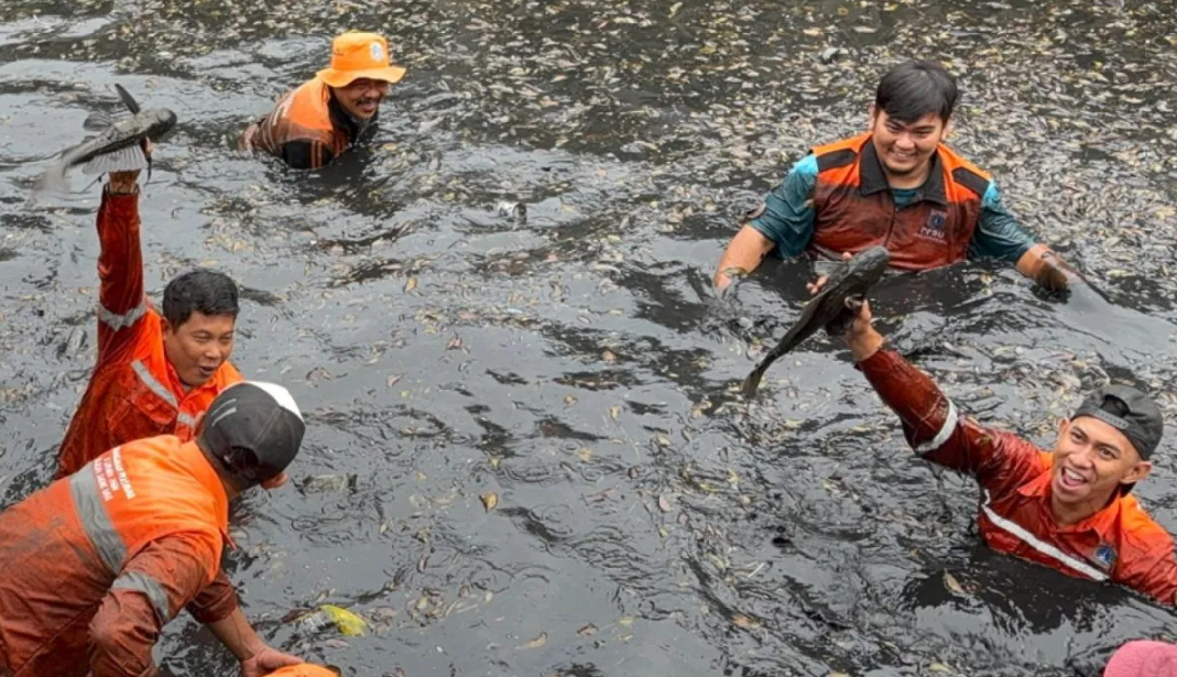 Gubernur DKI Jakarta Tegaskan Ikan Sapu-Sapu Akan Dikubur