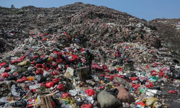 PLN Percepat Proyek PSEL: Pengolahan Sampah dan Energi