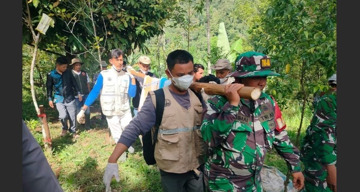 Evakuasi Harimau Sumatera Berhasil Dilakukan BKSDA Sumbar