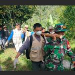 Evakuasi Harimau Sumatera Berhasil Dilakukan BKSDA Sumbar