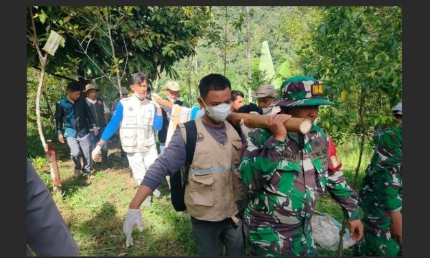 Evakuasi Harimau Sumatera Berhasil Dilakukan BKSDA Sumbar