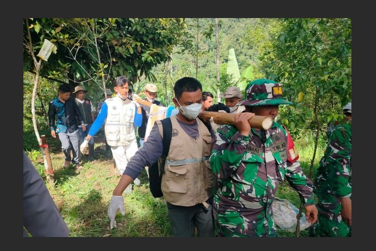 Evakuasi Harimau