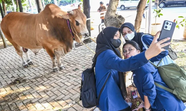 Menag Nasaruddin Umar Tekankan Idul Adha Momentum Berbagi