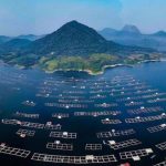 5 Tempat Wisata di Purwakarta yang Wajib Masuk Daftar Liburan