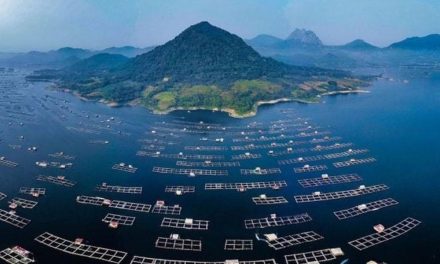 5 Tempat Wisata di Purwakarta yang Wajib Masuk Daftar Liburan