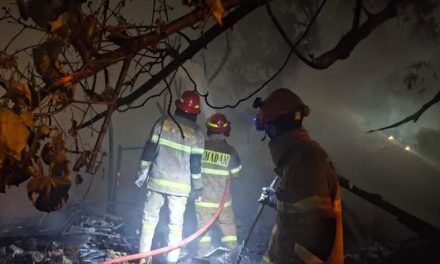 Kebakaran Bekas Lahan Sampah Depok Berhasil Dipadamkan