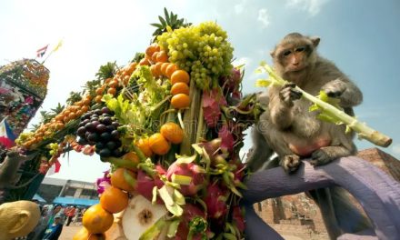 5 Festival Buah Paling Unik di Dunia, Tradisi Panen yang Meriah