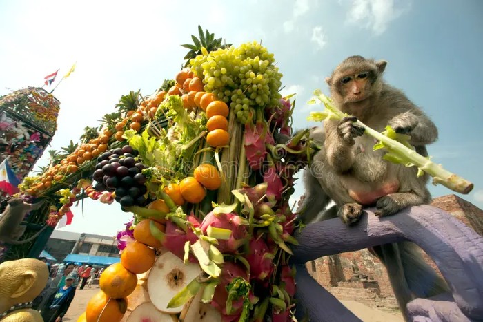 5 Festival Buah Paling Unik di Dunia, Tradisi Panen yang Meriah