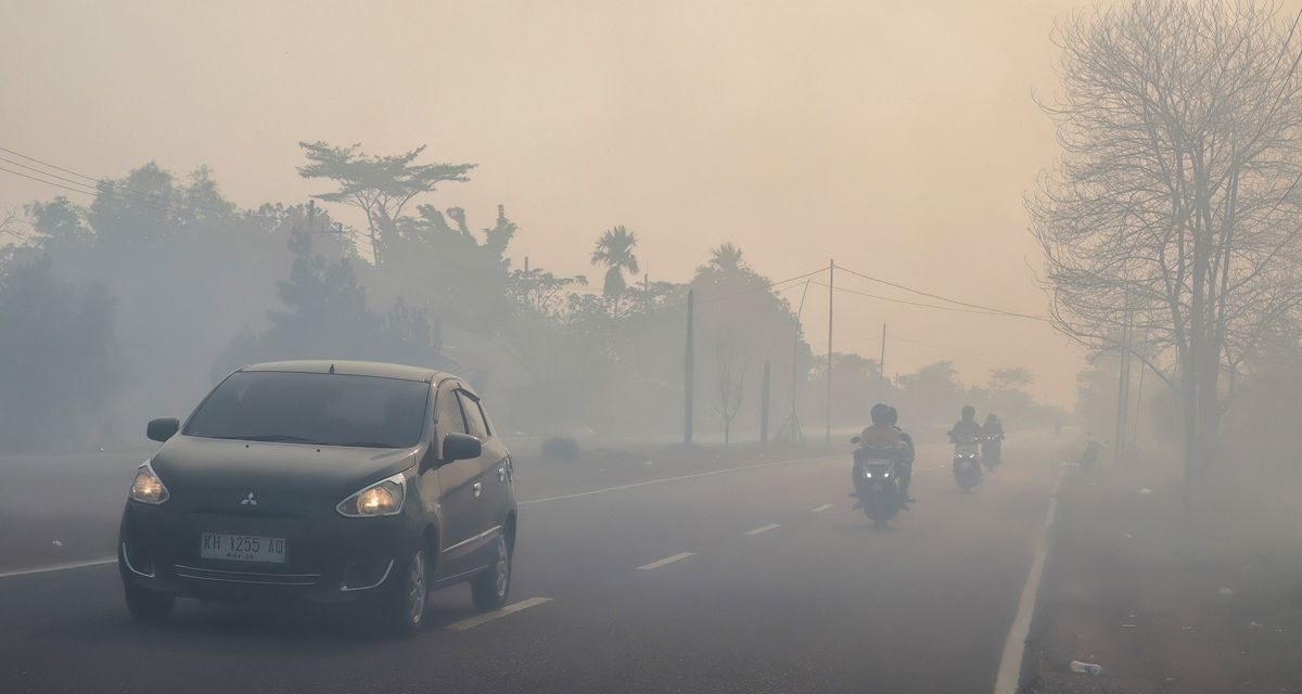 Kabut Asap Hambat Tim Jepang Padamkan Karhutla Kalimantan Barat