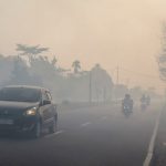 Kabut Asap Hambat Tim Jepang Padamkan Karhutla Kalimantan Barat