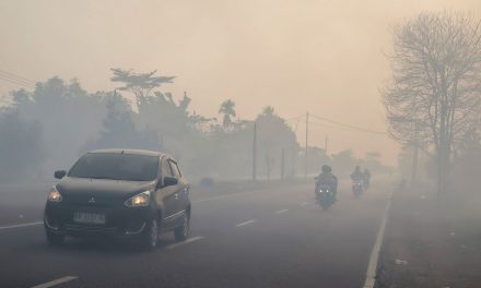 Kabut Asap Hambat Tim Jepang Padamkan Karhutla Kalimantan Barat
