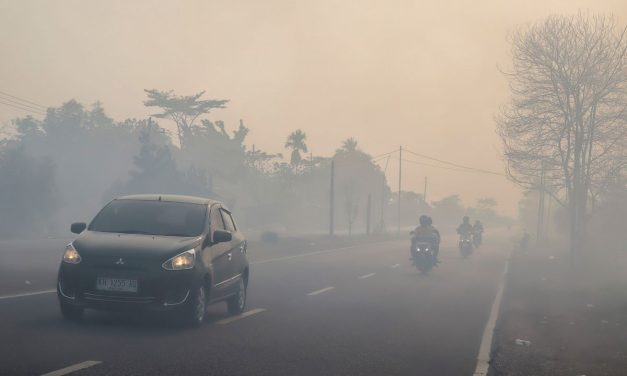 Kabut Asap Hambat Tim Jepang Padamkan Karhutla Kalimantan Barat
